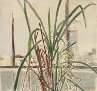 Lemon Grass